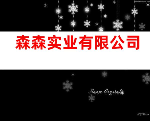 森森实业有限公司